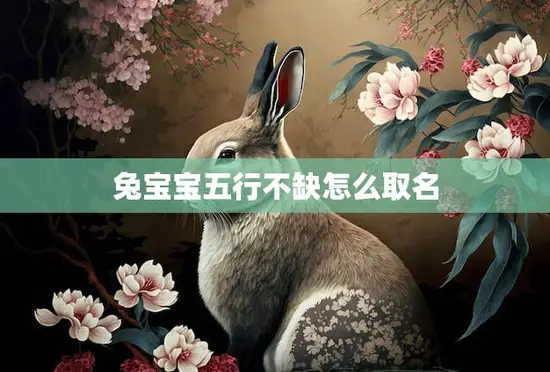 兔宝宝五行不缺怎么取名(如何为兔宝宝选择适合的名字)