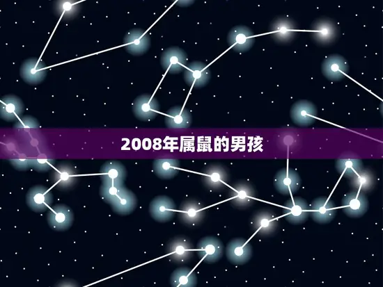 2008年属鼠的男孩(聪明伶俐未来可期)
