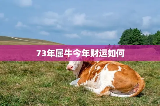 73年属牛今年财运如何(2023年属牛人财运大揭秘)
