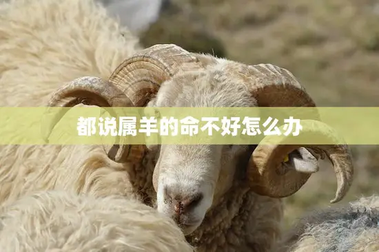 都说属羊的命不好怎么办(改变自己的命运)