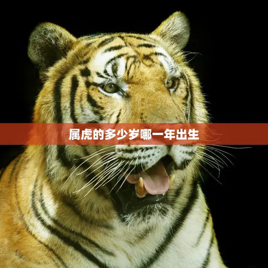 属虎的多少岁哪一年出生(解密属虎人的命运)