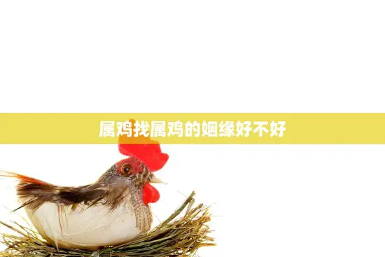 属鸡找属鸡的姻缘好不好(解析属相相同的婚姻是否)