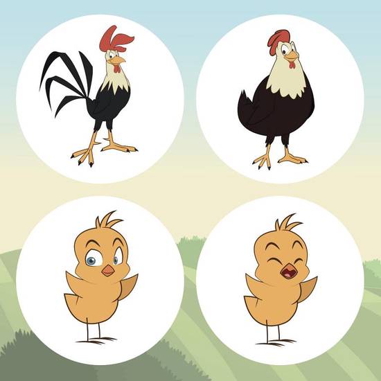 女属鸡最配的属相是什么(揭秘完美匹配的星座是TA)