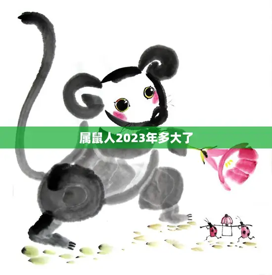 属鼠人2023年多大了(探究属鼠人的年龄与运势如何)