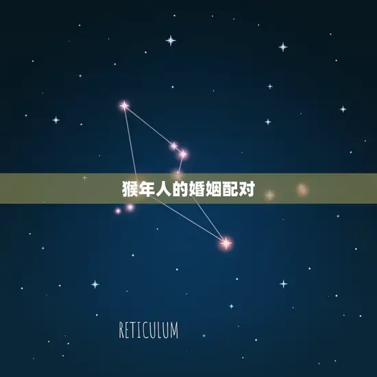 1980年猴婚姻配对(猴年夫妻缘如何找到匹配)