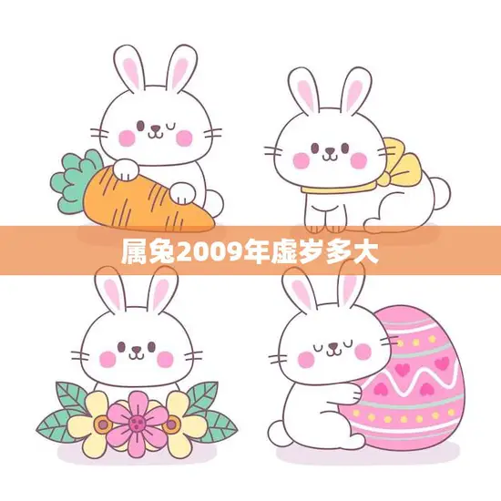 属兔2009年虚岁多大(如何计算属兔人的虚岁)