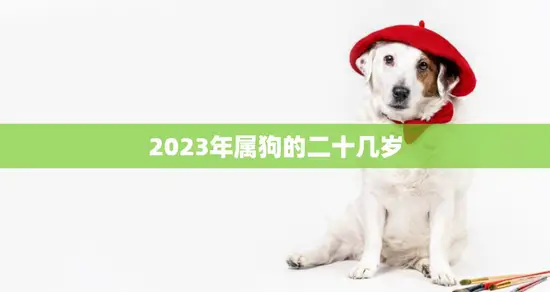 2023年属狗的二十几岁(狗年生肖运势解析)
