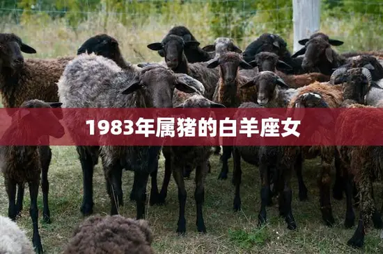 1983年属猪的白羊座女(勇敢追梦的生命力)