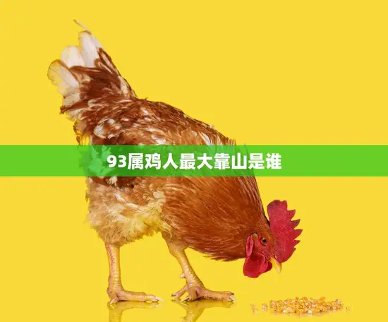 93属鸡人最大靠山是谁(揭秘属鸡人的贵人关系)