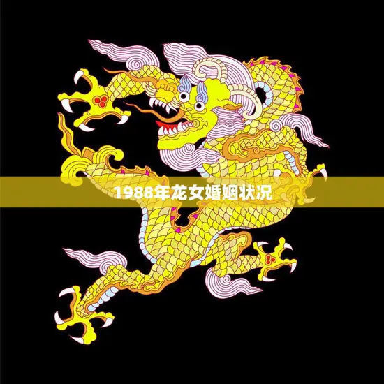 1988年龙女婚姻状况(当年龙女们的婚姻现状如何)
