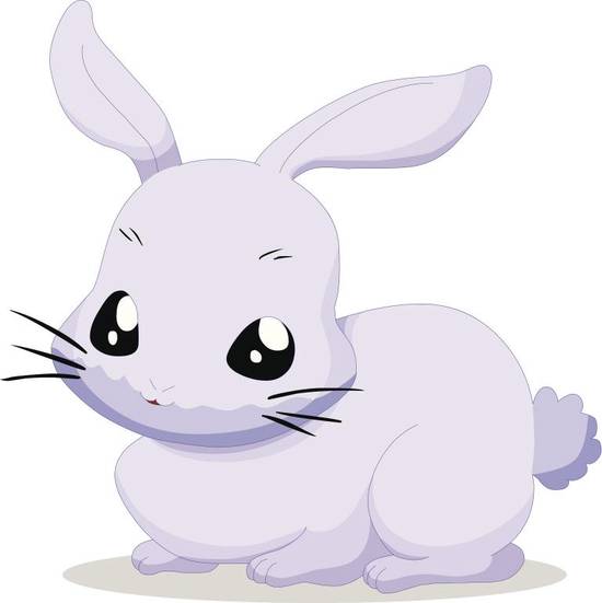 兔年本命年的大忌卜易居(如何避免厄运)