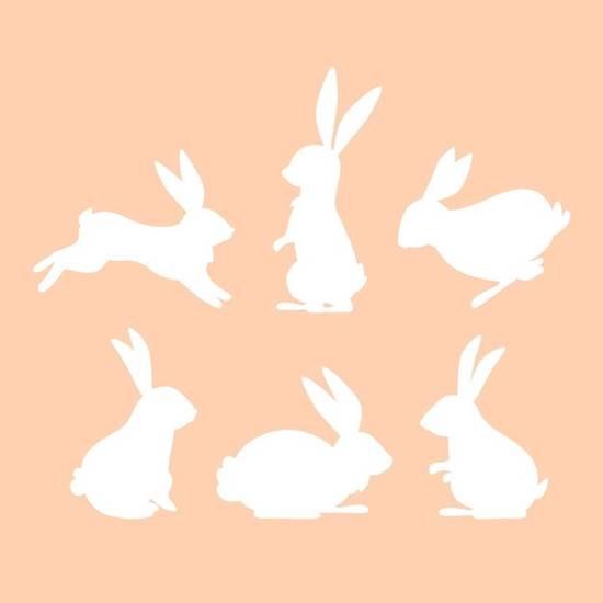 兔子的婚配最好是属什么(如何选择最佳配偶)