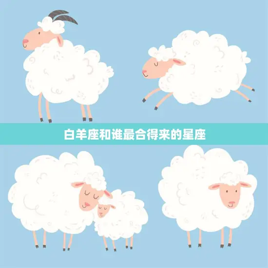白羊座和谁最合得来的星座(完美匹配的星座组合)