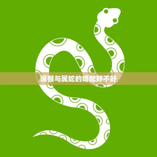 属猴与属蛇的婚配好不好(探讨星座配对的真相)
