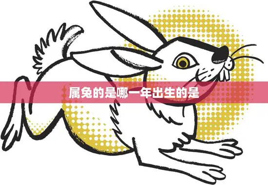 属兔的是哪一年出生的是(兔年生肖解析)