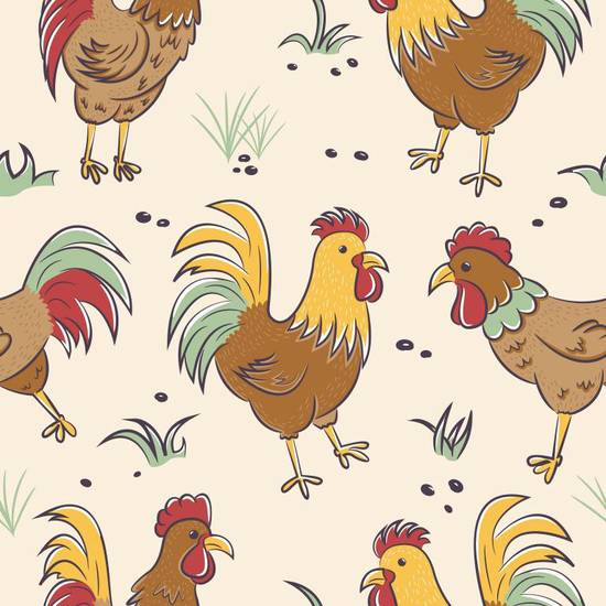 81年鸡戴什么增加财运(独家让你财源滚滚来)