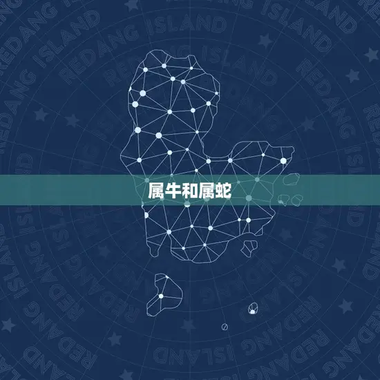 属牛跟什么属相合得来(十二生肖中搭档是谁)