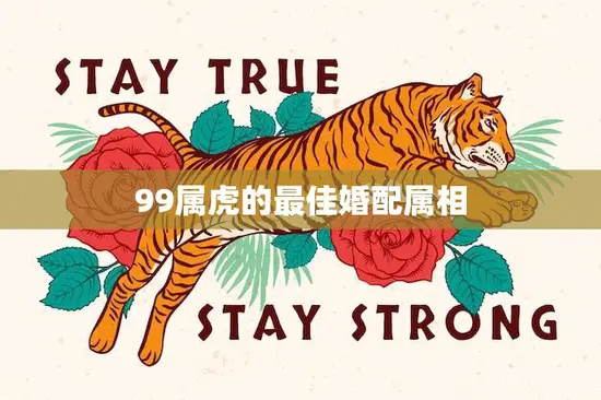 99属虎的最佳婚配属相(如何选择最适合的伴侣)