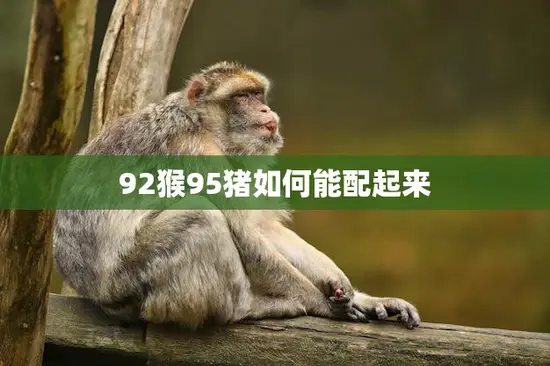 92猴95猪如何能配起来(解密生肖配对的秘密)