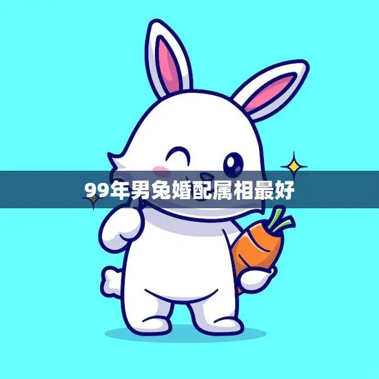 99年男兔婚配属相最好(如何选择最佳婚配属相)