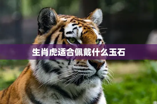 生肖虎适合佩戴什么玉石(玉石之选助力虎年好运)