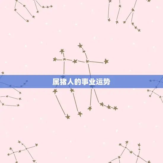 我属猪的今年运势如何(猪年运势介绍)