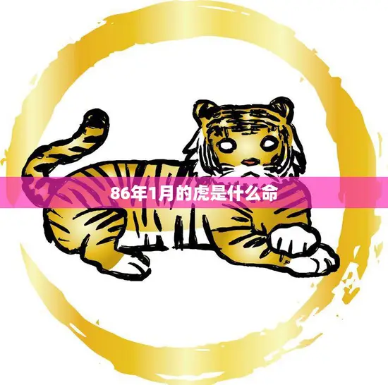 86年1月的虎是什么命(解析性格坚毅聪明机智)