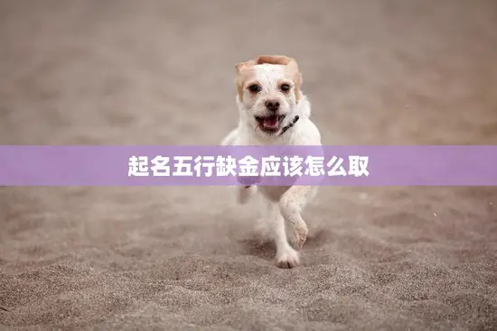 起名五行缺金应该怎么取(如何为缺金宝宝取名)