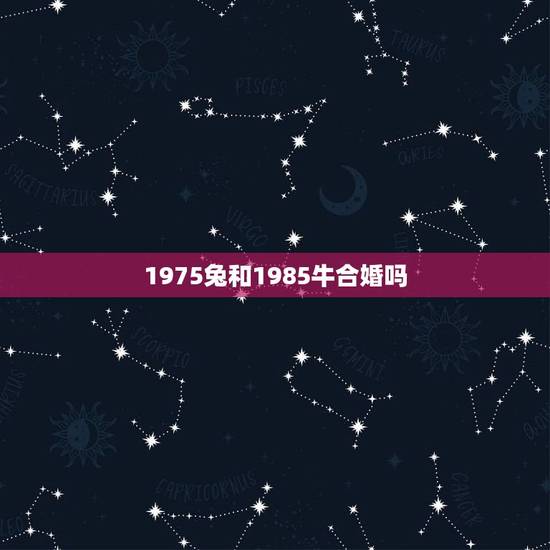 1975兔和1985牛合婚吗(十二生肖配对解读)