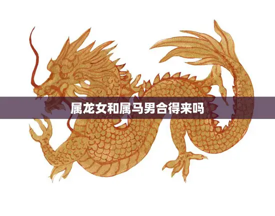 属龙女和属马男合得来吗(星座配对分析)