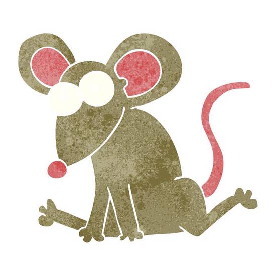 属鼠的应该是哪年出生的(如何确定你的生肖)