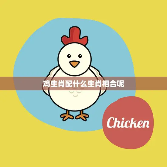 鸡生肖配什么生肖相合呢(解读十二生肖配对)