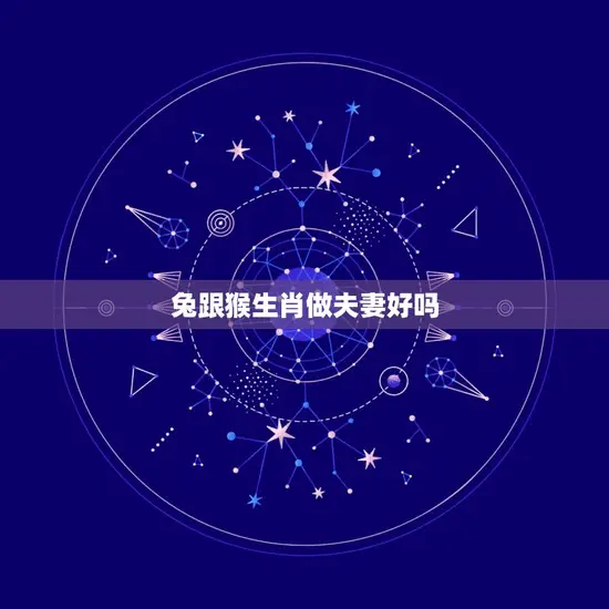 兔跟猴生肖做夫妻好吗(星座学家介绍这样的组合有哪些优缺点)