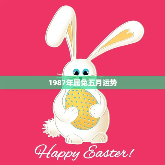 1987年属兔五月运势(财运亨通事业顺利)