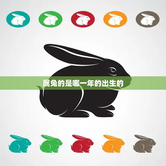 属兔的是哪一年的出生的(了解中国十二生肖中的兔子)