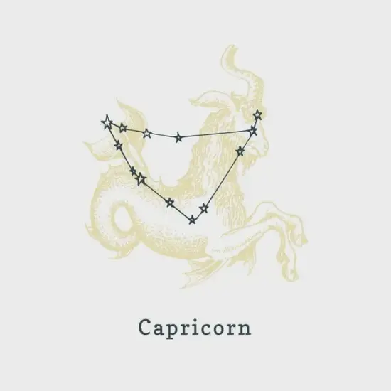 摩羯座年度事业突破节点