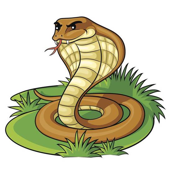 属蛇男人婚配属什么女人(如何选择最佳配偶)