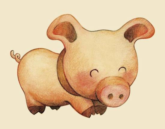 83年属猪2023运势(猪年大吉财运亨通)