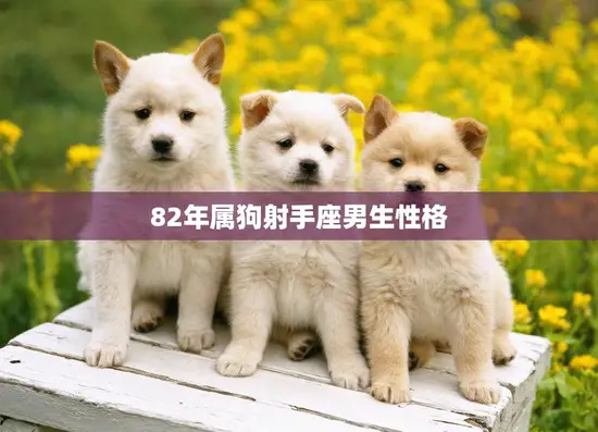 82年属狗射手座男生性格(热情开朗自由不羁)