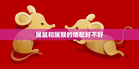 属鼠和属猴的婚配好不好(探究星座配对的真相)