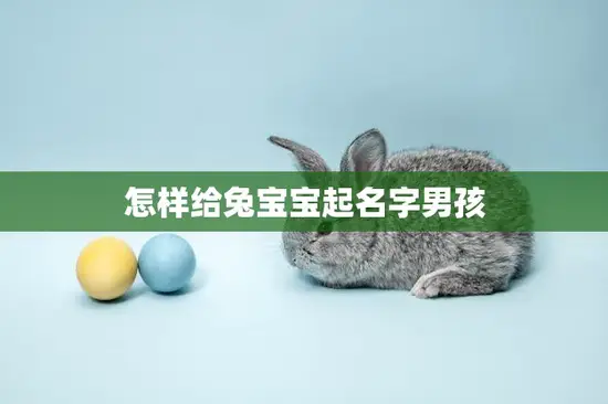 怎样给兔宝宝起名字男孩(创意十足的兔子名字推荐)