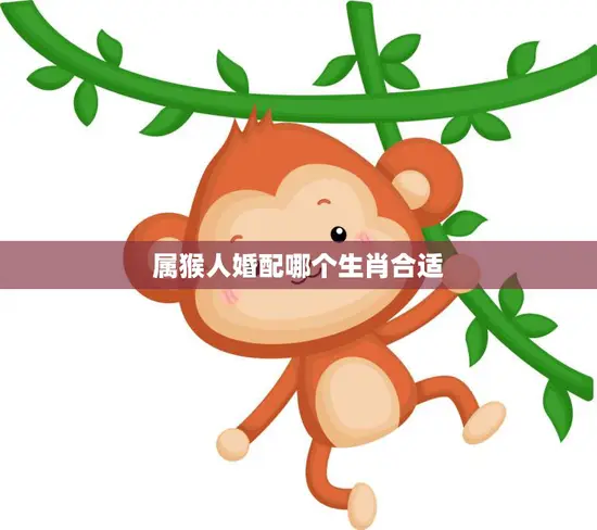 属猴人婚配哪个生肖合适(最佳配对大揭秘)