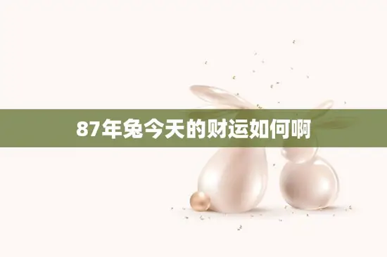 87年兔今天的财运如何啊(解析财运旺盛还是不佳)