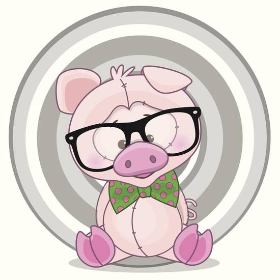 属猪的女人最佳配偶属相(哪个属相最合适)