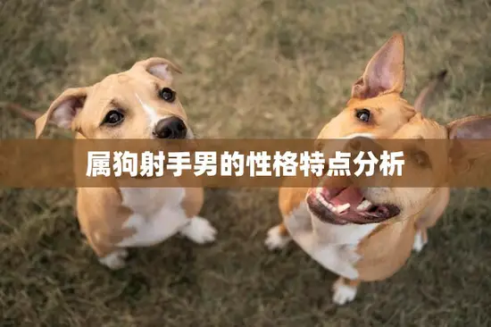 属狗射手男的性格特点分析(热情开朗善良正直)