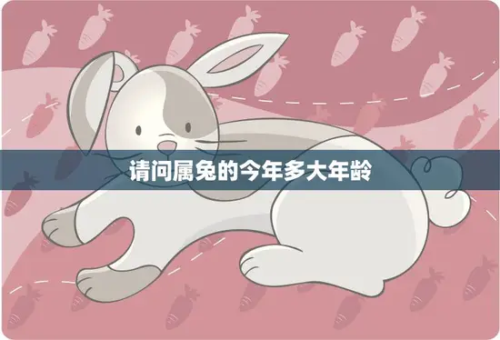 请问属兔的今年多大年龄(如何计算属兔人的年龄)