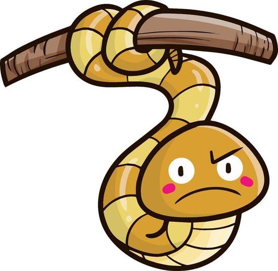 2023年属蛇人运势女(顺风顺水财运亨通)