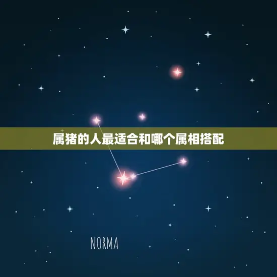 属猪婚配属相年龄(介绍哪个年龄段最适合)