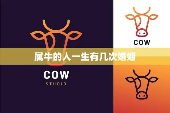 属牛的人一生有几次婚姻(解密婚姻多寡与命运相关吗)