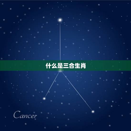 三合和六个合生肖表格(生肖配对大介绍)